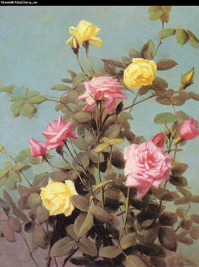 Lambdin, George Cochran Roses